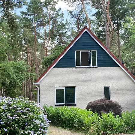 Bosvilla - Luxe En Privacy In De * Lochem