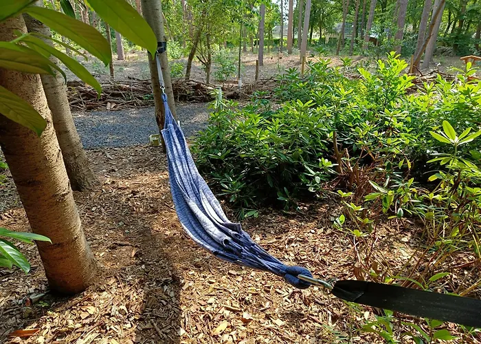 Dom wakacyjny Bosvilla - Luxe En Privacy In De Lochem